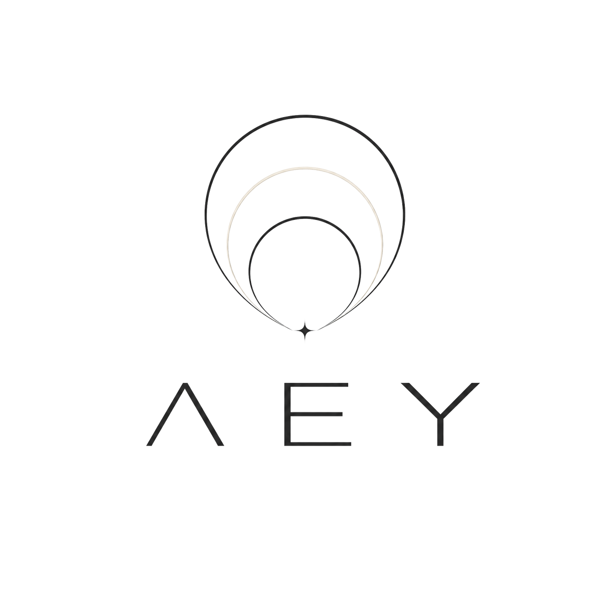 AEY logo